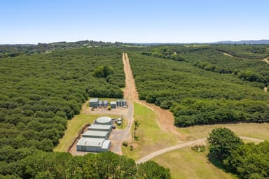 Property 345-387 Friday Hut Road, Brooklet NSW 2479 IMAGE 0