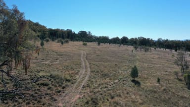 Property Lot 80 & Lot 121 of 8432 Black Stump Way, TAMBAR SPRINGS NSW 2381 IMAGE 0