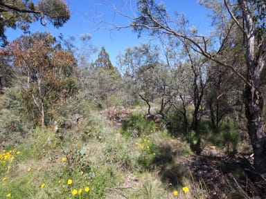 Property Lot 3 Calvert Road, GLEN APLIN QLD 4381 IMAGE 0