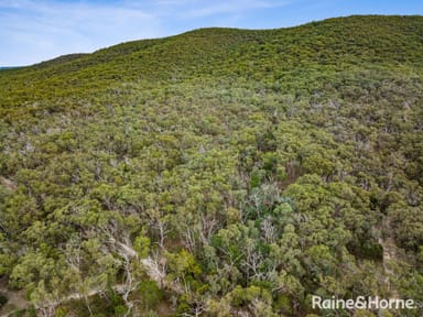 Property Lot 51 Princess Street, RIDDELLS CREEK VIC 3431 IMAGE 0