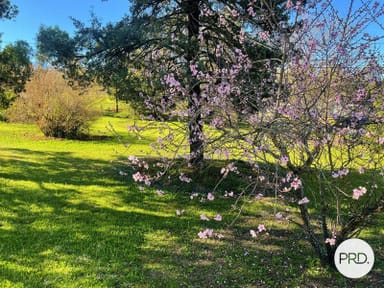 Property Lot 153 Cooper Street, Eugowra NSW 2806 IMAGE 0