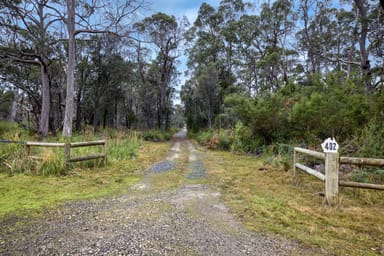 Property 402 Badger Head Road, BADGER HEAD TAS 7270 IMAGE 0