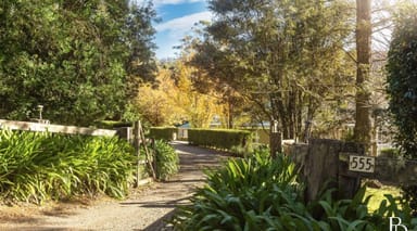Property 555 Tourist Road, Bellawongarah NSW 2535 IMAGE 0
