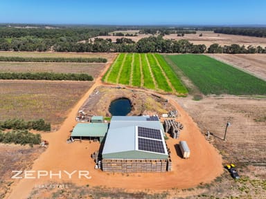 Property 24 McDonald Road, Jindong WA 6280 IMAGE 0
