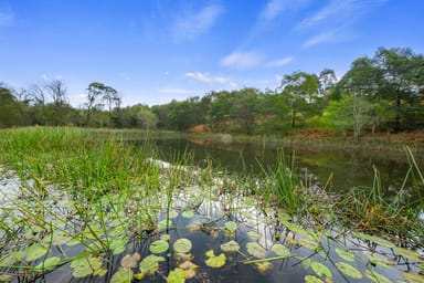 Property 66 Baileys Lane, KURRAJONG HILLS NSW 2758 IMAGE 0