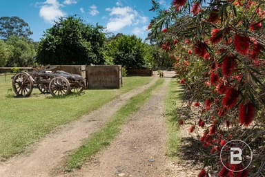 Property 31 Lethebys Road, Sailors Gully VIC 3556 IMAGE 0