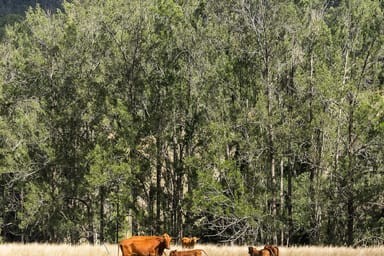 Property lot 125, rucker Laceys Creek Road, Laceys Creek QLD 4521 IMAGE 0