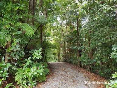 Property 106 Black Bean Road, Cow Bay QLD 4873 IMAGE 0