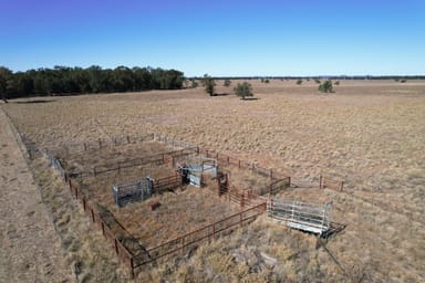 Property 830 Waarbilla Road, BARMEDMAN NSW 2668 IMAGE 0