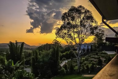 Property 172 Jocelyn Drive, Eumundi QLD 4562 IMAGE 0