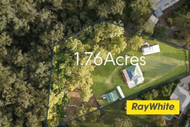 Property 19 Janet Court, South Maclean QLD 4280 IMAGE 0