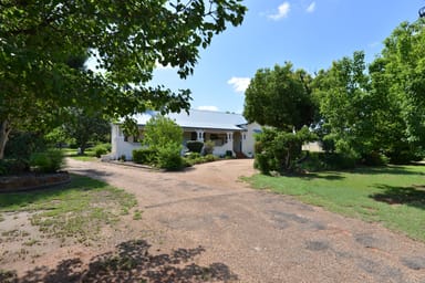 Property 29 Cowper Street, Coonabarabran NSW 2357 IMAGE 0