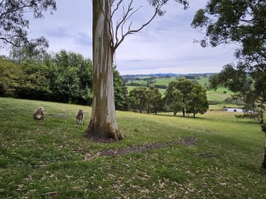 Property 61 Rendell Road, Neerim East VIC 3831 IMAGE 0