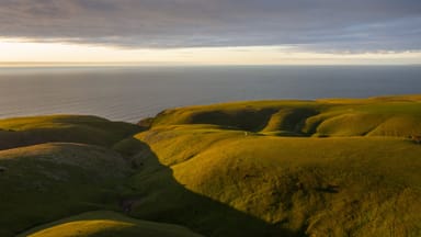 Property Sec 462 Myponga Beach, Myponga Beach SA 5202 IMAGE 0