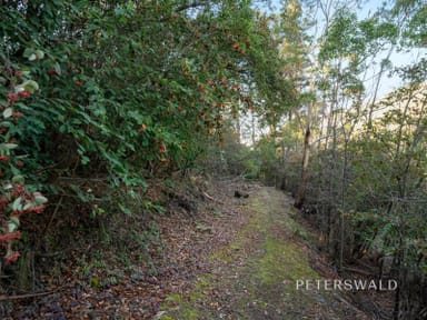Property 10 Stoney Steps Road, South Hobart TAS 7004 IMAGE 0