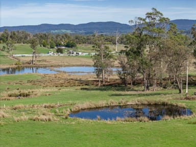 Property 234 Winkleigh Road, Exeter TAS 7275 IMAGE 0