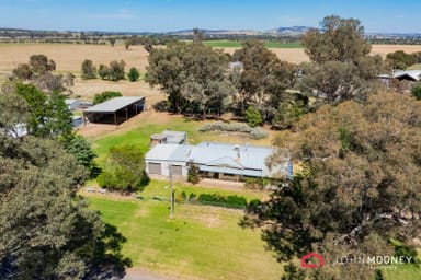 Property 53 Cox Street, Mangoplah NSW 2652 IMAGE 0