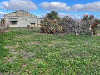 Property 8 Eyre Highway, Wudinna SA 5652 IMAGE 0