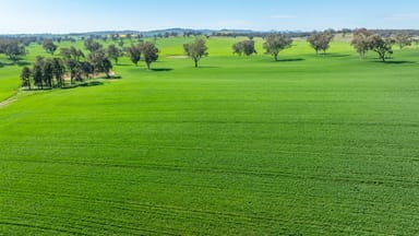 Property 1726 Howlong Burrumbuttock Road, Burrumbuttock NSW 2642 IMAGE 0