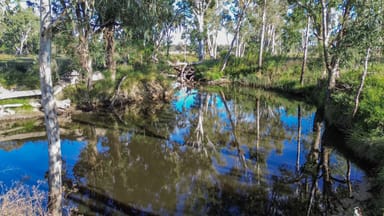 Property 79 Leyburn Forestry Road, Thanes Creek QLD 4370 IMAGE 0