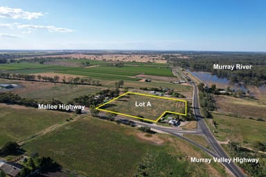 Property 60 Mallee Highway, PIANGIL VIC 3597 IMAGE 0