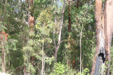 Property 81, 395 Bruxner Road, Drake NSW 2469 IMAGE 0