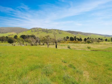 Property 303 Omeo Highway, OMEO VIC 3898 IMAGE 0