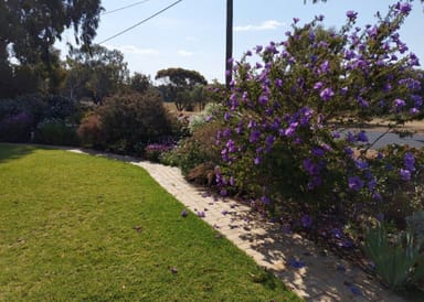 Property 72 Bannister Street, Narrogin WA 6312 IMAGE 0