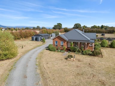 Property 34 Veterans Row, Westbury TAS 7303 IMAGE 0