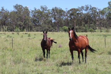 Property Lot 18 & 19, 110 Greentree Lane, Beeron, Mundubbera QLD 4626 IMAGE 0