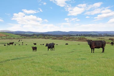 Property 615 Rifle Butts Road, Birregurra VIC 3242 IMAGE 0