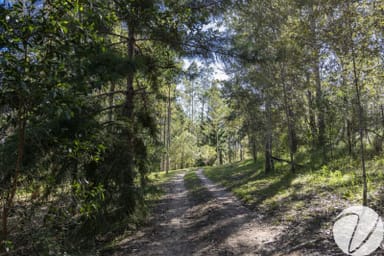 Property 1907 Clarence Way, Copmanhurst NSW 2460 IMAGE 0