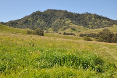 Property Rouchel Gap Rd Rouchel Gap Rd, Mccullys Gap NSW 2333 IMAGE 0