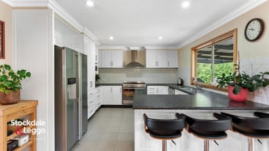 Property 38 Wells Road, Mirboo North VIC 3871 IMAGE 0