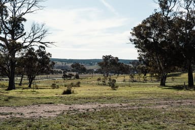 Property 175 Woodbury Drive, Sutton NSW 2620 IMAGE 0