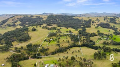 Property 251 Goorangoola Creek Road, Singleton NSW 2330 IMAGE 0