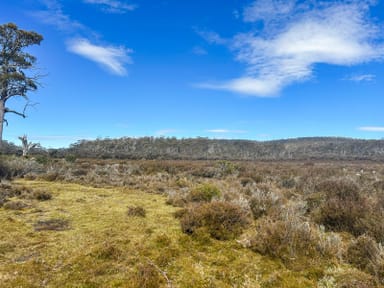 Property 331L Arthurs Lake Road, ARTHURS LAKE TAS 7030 IMAGE 0