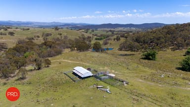 Property 74 Galvins Creek Road, FORBES CREEK NSW 2621 IMAGE 0