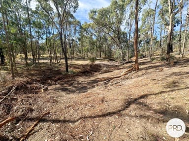 Property Lot 4 Tooma Road, Tumbarumba NSW 2653 IMAGE 0