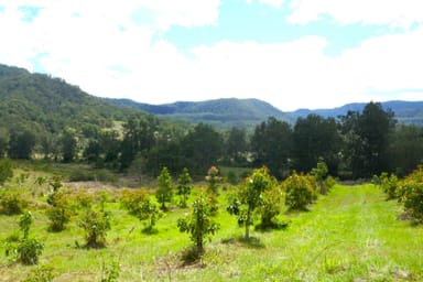 Property 842 Green Pigeon Road, Kyogle NSW 2474 IMAGE 0