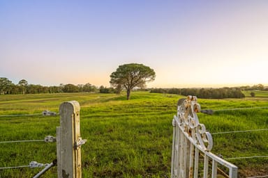 Property Lot 4,5 -1155 Tocal Road, PATERSON NSW 2421 IMAGE 0