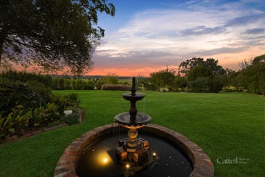 Property 136 Cessnock Road, MAITLAND NSW 2320 IMAGE 0