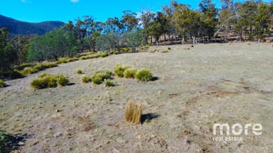 Property 404 Molesworth Road, MOLESWORTH TAS 7140 IMAGE 0