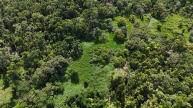 Property Lot 81 Cape Tribulation Road, DIWAN,, DAINTREE QLD 4873 IMAGE 0