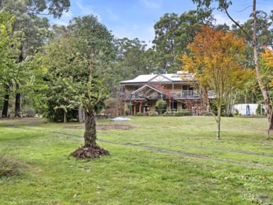 Property 150 Reilly and Allens Road, NERRENA VIC 3953 IMAGE 0