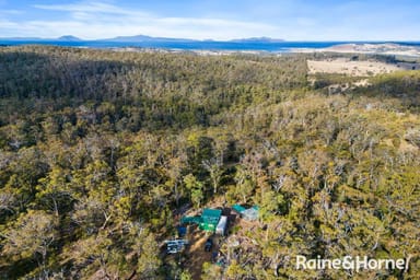 Property 210 & 214 Bresnehans Road, Little Swanport TAS 7190 IMAGE 0