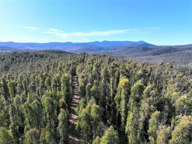 Property Lot 34, 35, 36, 79 Monaro Highway, Rockton NSW 2632 IMAGE 0