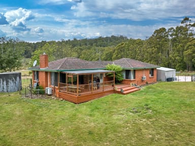 Property 520 Bradys Plain Road, Parkham TAS 7304 IMAGE 0