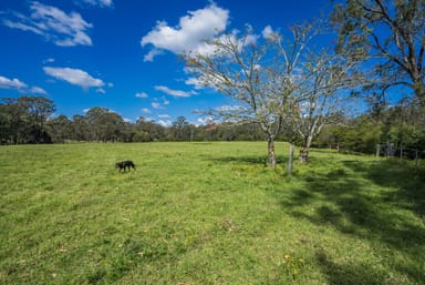 Property 116 Parsons Rd, CLARENCE TOWN NSW 2321 IMAGE 0