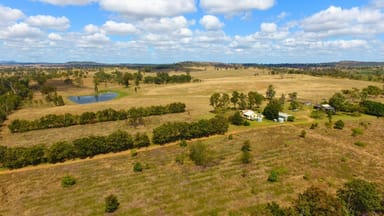 Property 991 Mount Steadman Road, MOUNT STEADMAN QLD 4625 IMAGE 0